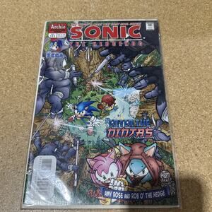SONIC The HEDGEHOG #111 COMIC BOOK 2002 AMY ROSE BAG & BOARDED Rare